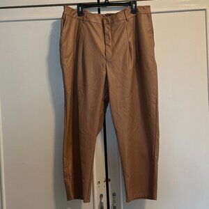 Express Leather Pants